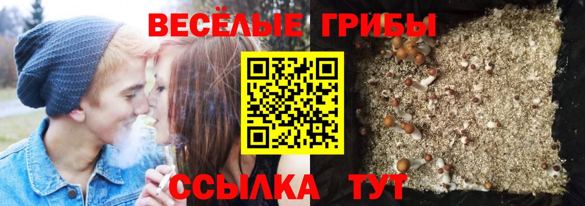 Галлюциногенные грибы GOLDEN TEACHER Вольск