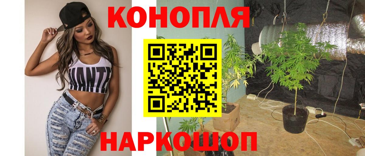 Бошки марихуана семена  Каннабис AK-47  Бошки марихуана Ganja  Вольск  Вход с VPN 
